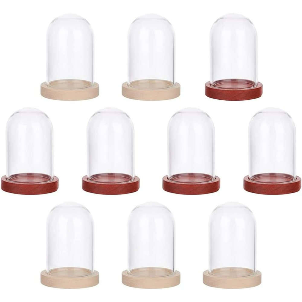 10 Sets Mini Eternal Flower Gl - Glass Container Set 评论和价格