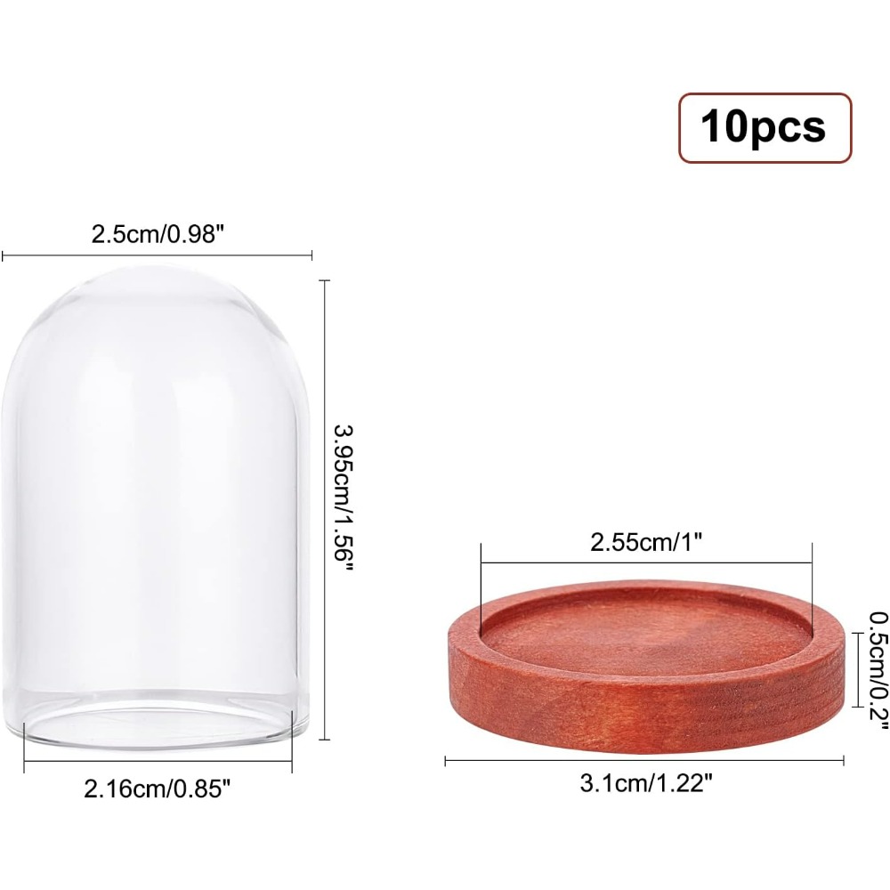 10 Sets Mini Eternal Flower Gl - Glass Container Set 评论和价格
